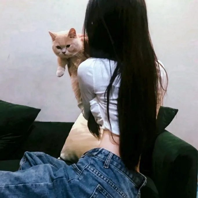 小镇大谎